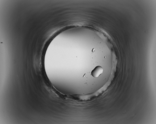 X0000085210532200703301644