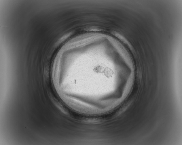 X0000085210533200703301644