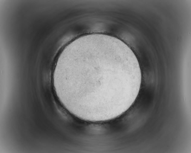 X0000085210534200703301644