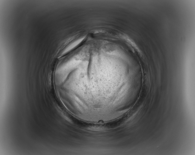 X0000085210537200703301644