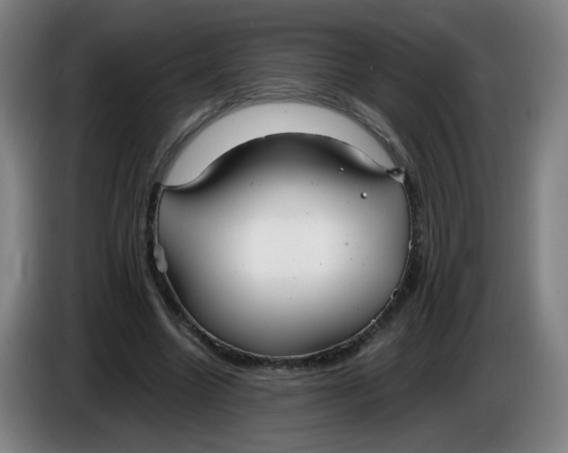 X0000085210538200703301644