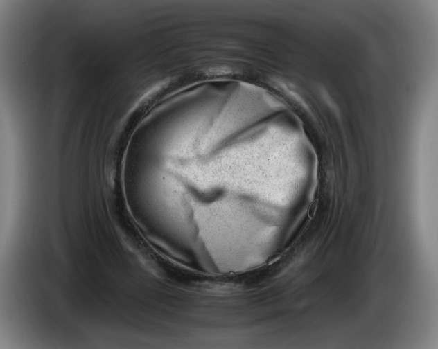 X0000085210539200703301644