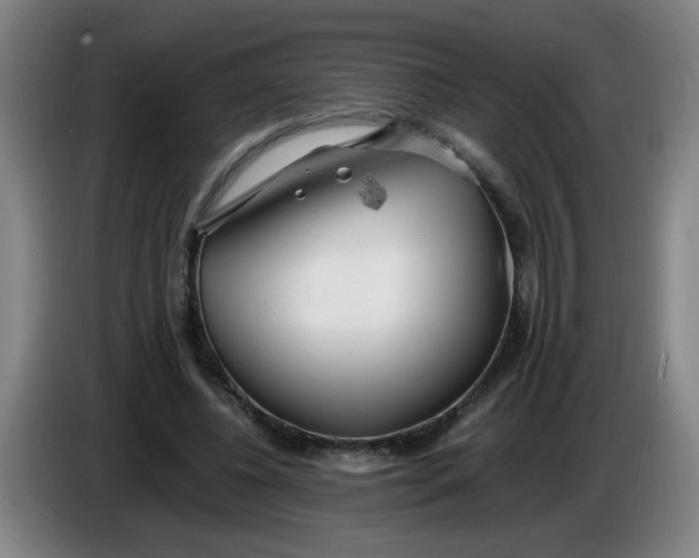 X0000085210540200703301644