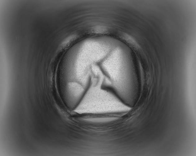 X0000085210542200703301644