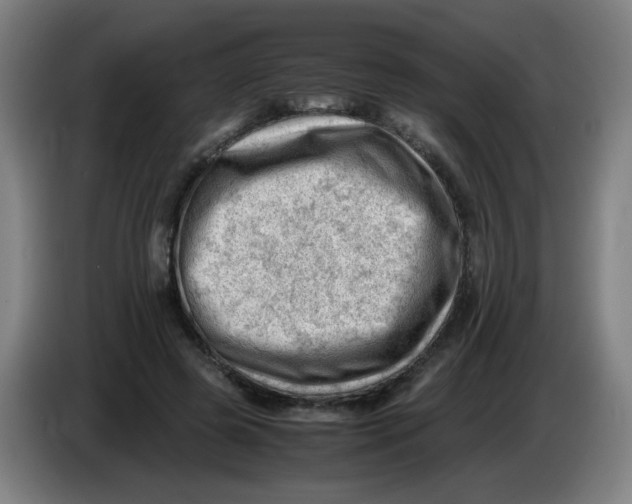 X0000085210545200703301644