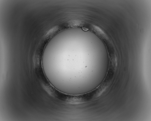 X0000085210546200703301644