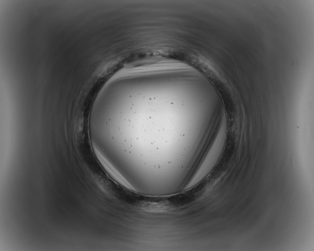 X0000085210548200703301644