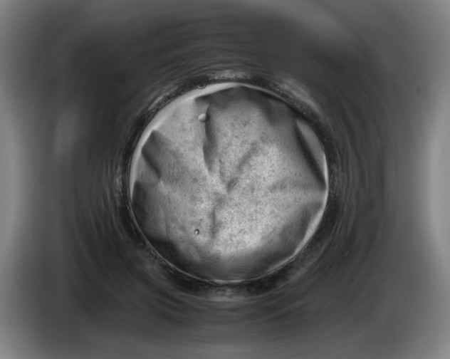 X0000085210549200703301644