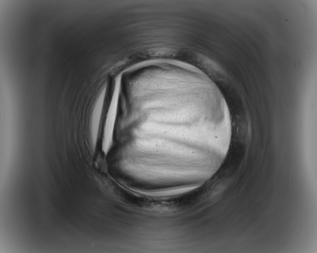 X0000085210550200703301644