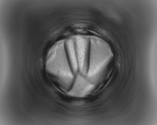 X0000085210551200703301644