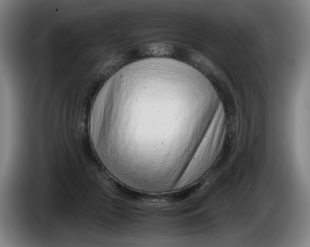 X0000085210553200703301644