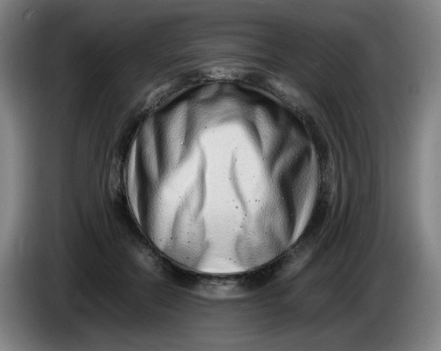 X0000085210554200703301644