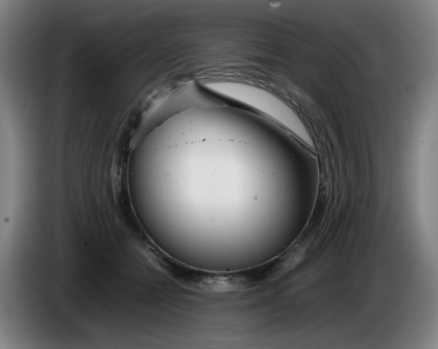 X0000085210558200703301644