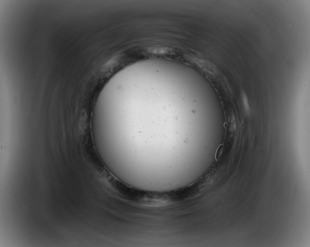 X0000085210559200703301644