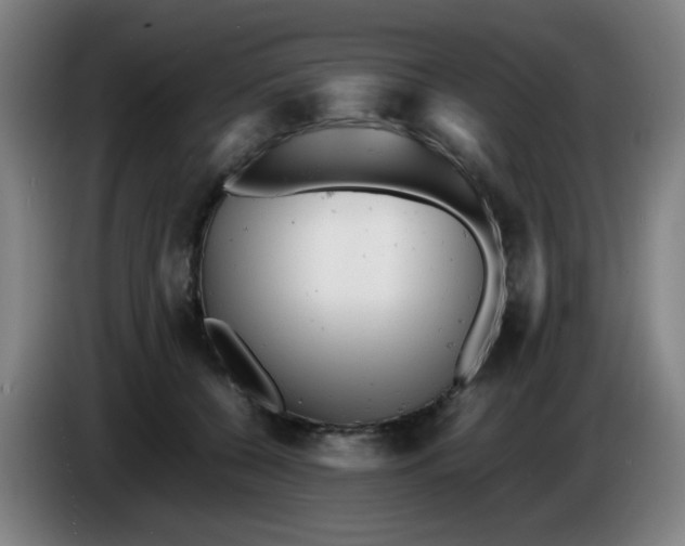 X0000085210560200703301644