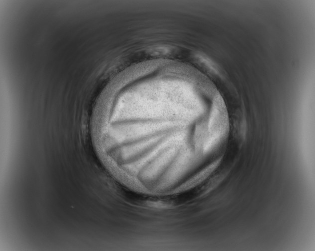 X0000085210561200703301644