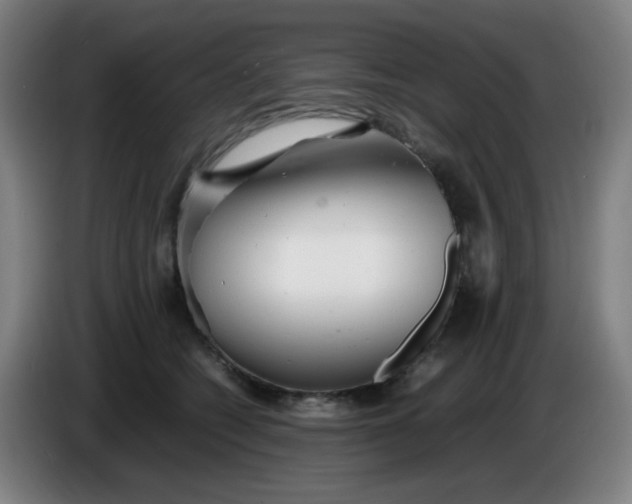 X0000085210562200703301644