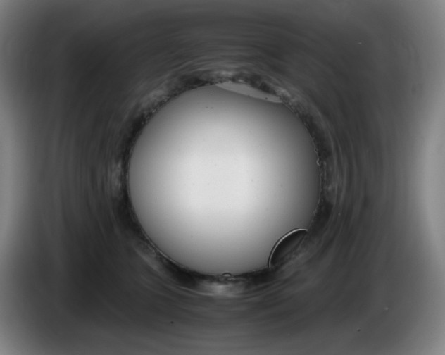 X0000085210563200703301644