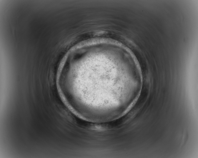 X0000085210565200703301644