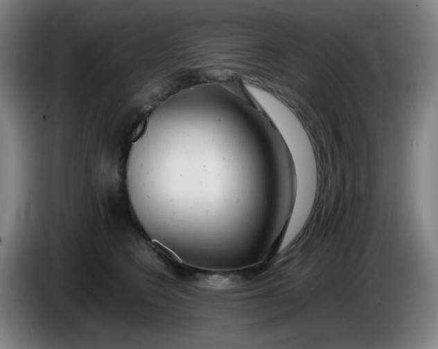 X0000085210566200703301644