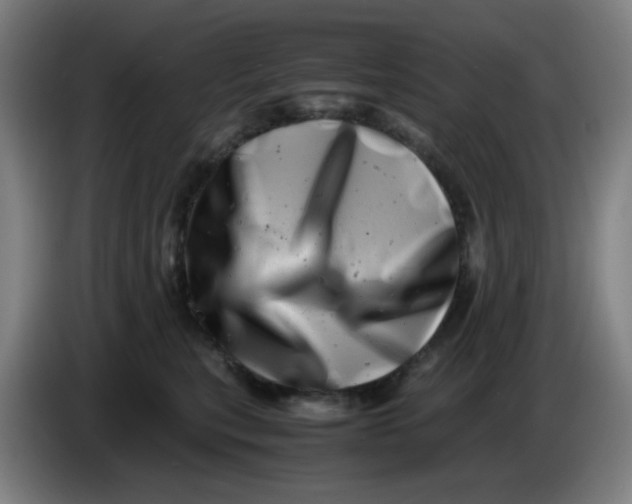 X0000085210567200703301644