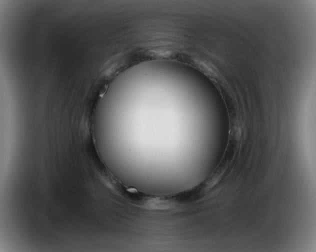 X0000085210568200703301644