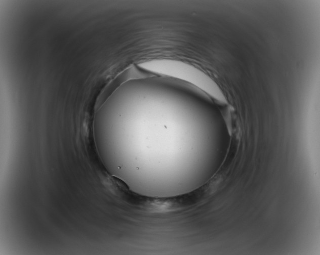 X0000085210570200703301644