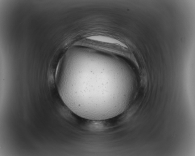 X0000085210573200703301644