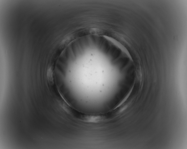 X0000085210575200703301644