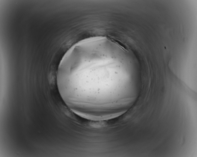 X0000085210576200703301644