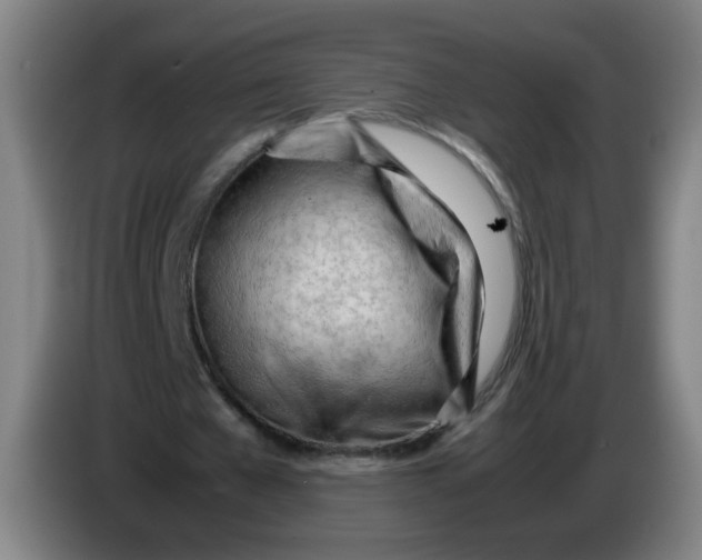 X0000085210577200703301644