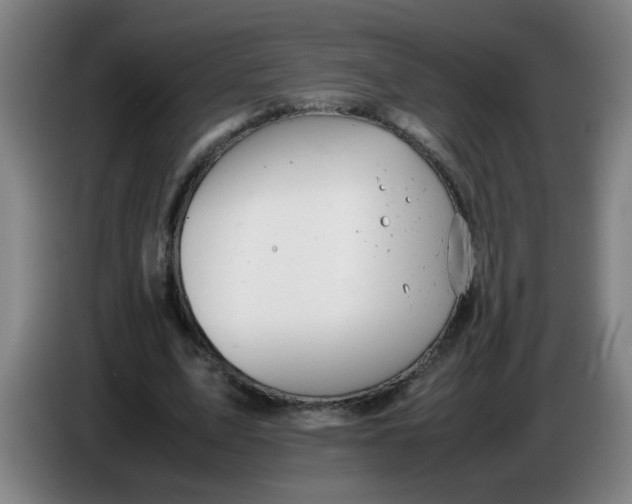 X0000085210583200703301643