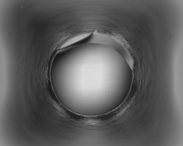 X0000085210585200703301643