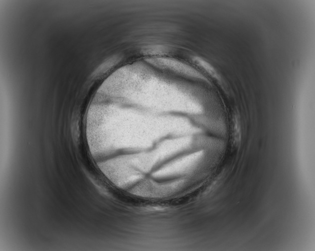 X0000085210586200703301643