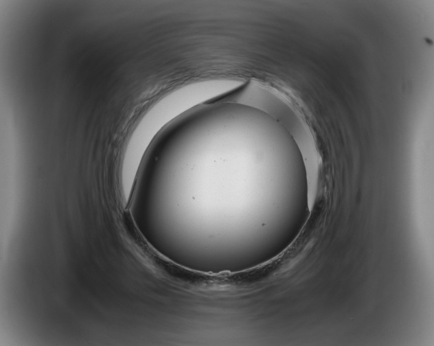 X0000085210589200703301643