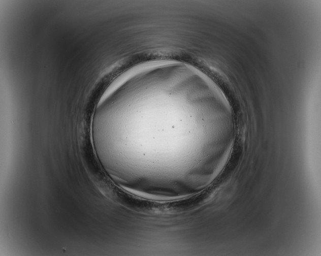 X0000085210591200703301643