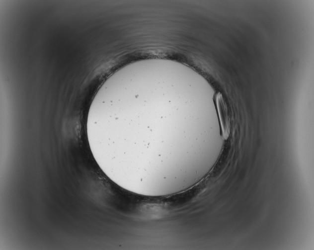 X0000085210595200703301643