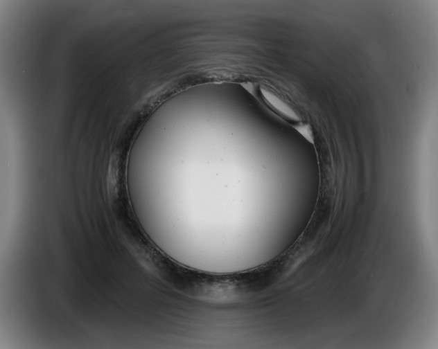 X0000085210600200703301643