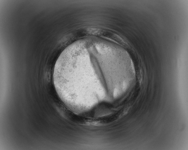 X0000085210602200703301643