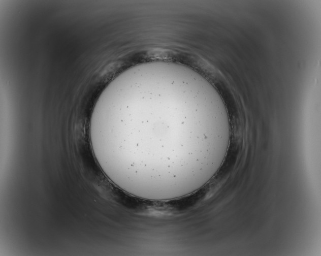 X0000085210603200703301643