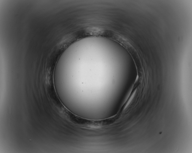 X0000085210604200703301643