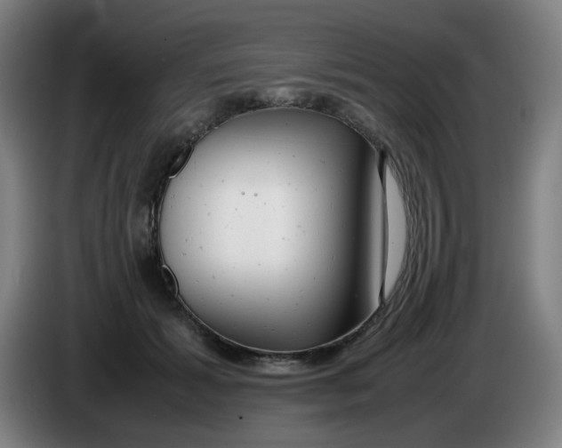 X0000085210605200703301643