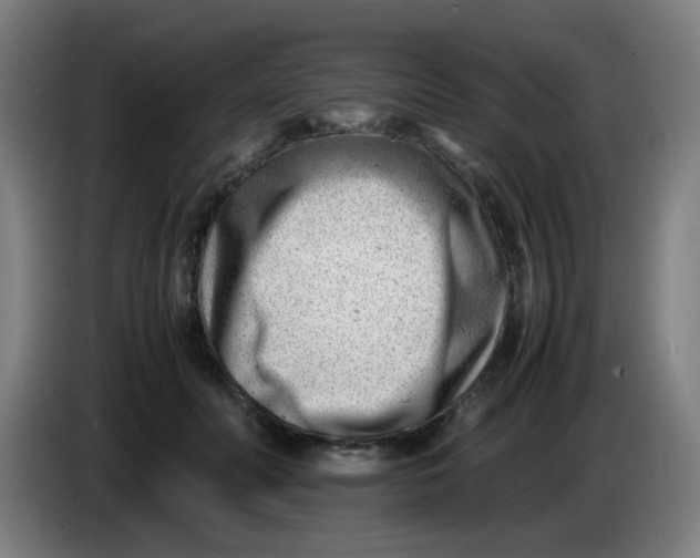 X0000085210606200703301643