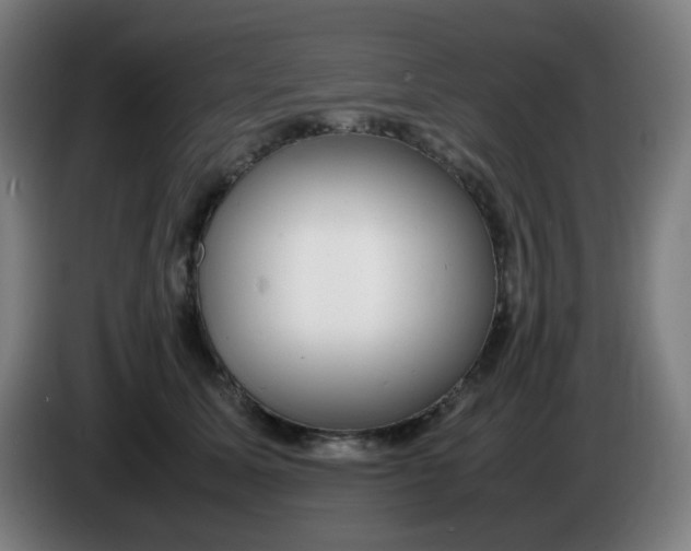 X0000085210611200703301643