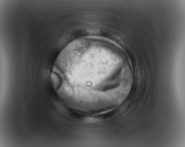 X0000085210614200703301643