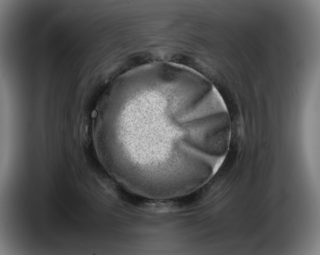 X0000085210615200703301643