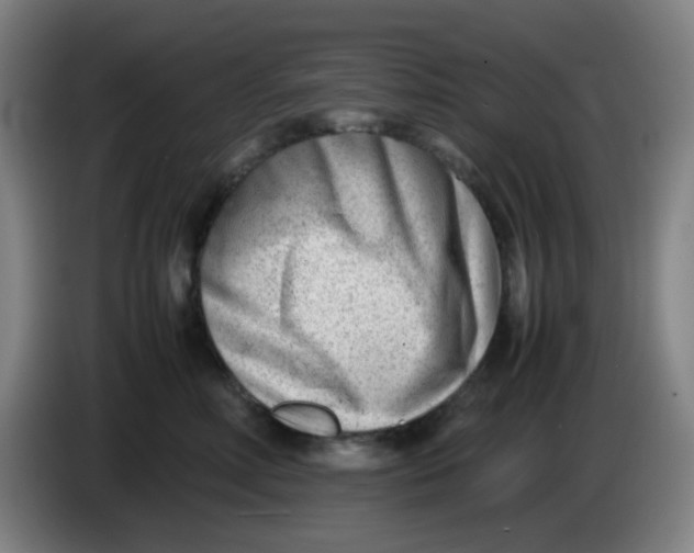 X0000085210618200703301643