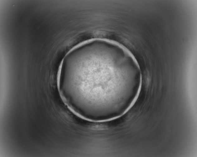 X0000085210619200703301643