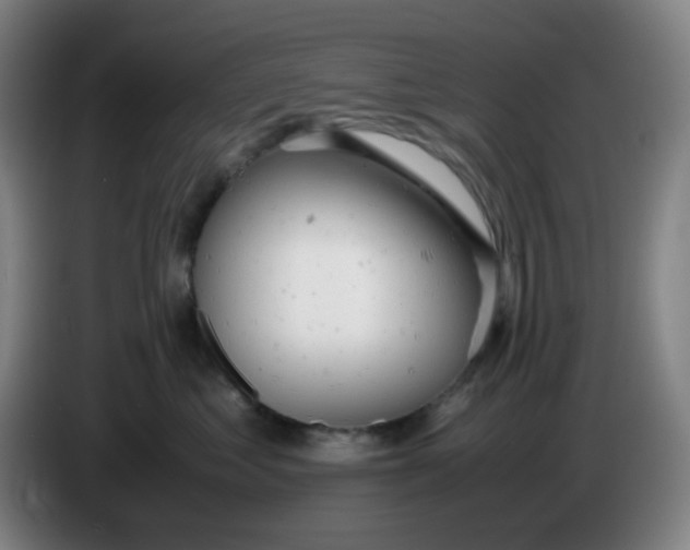 X0000085210621200703301643