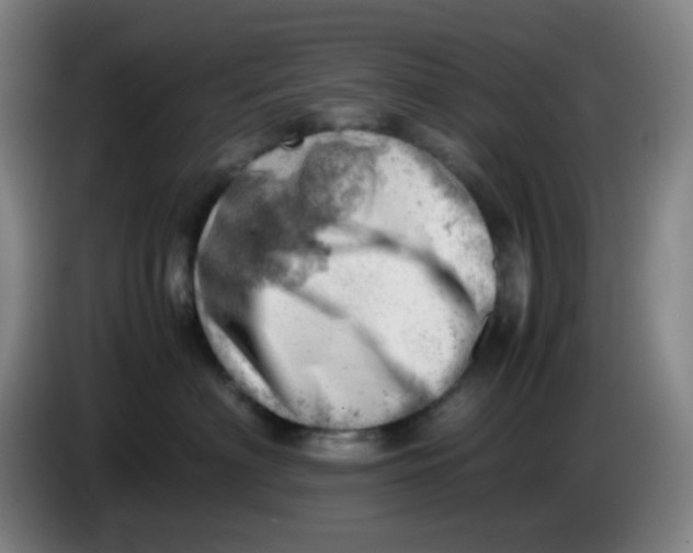 X0000085210622200703301643